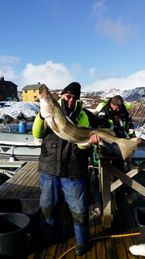 20140415_152514 (360x640)