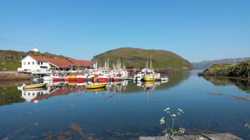 20140710_155334 (640x360)