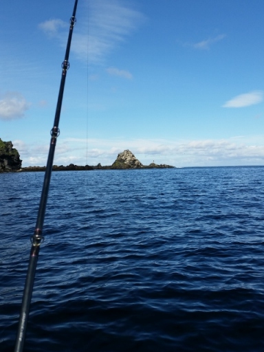 20150630_155230 (480x640)