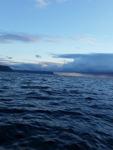 20150701_001114 (480x640)