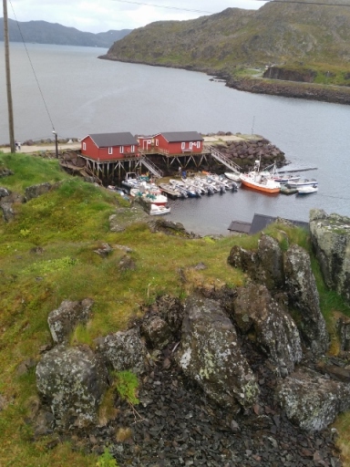 20150704_234019 (480x640)