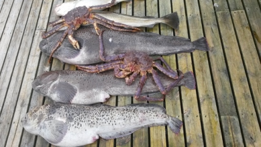 20150711_163522 (640x360)