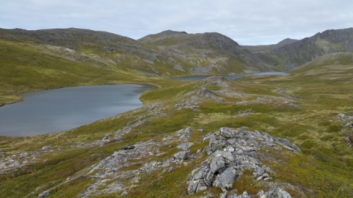 20150724_160847 (640x360)