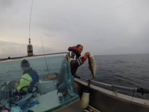 DCIM\100GOPRO