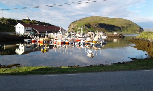 20160717_201001 (800x480)