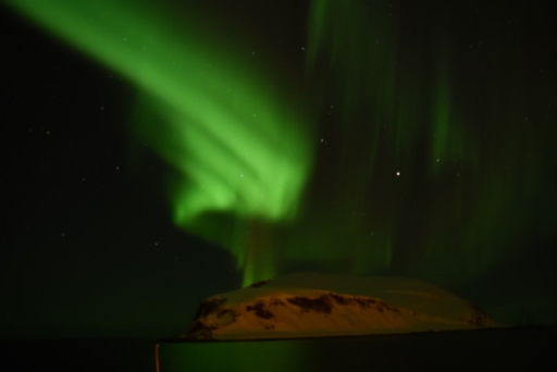 DSC_0331 (640x427)