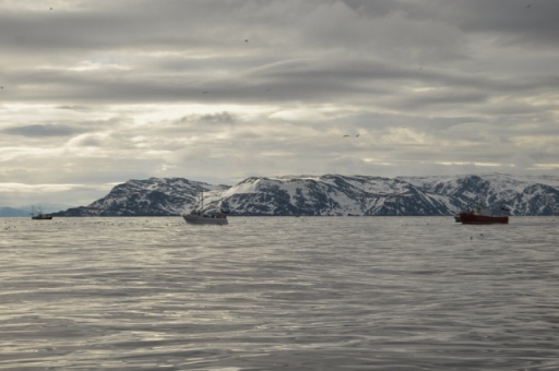 DSC_0691 (640x425)