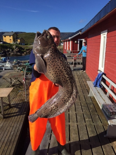 IMG-20160622-WA0036 (480x640)