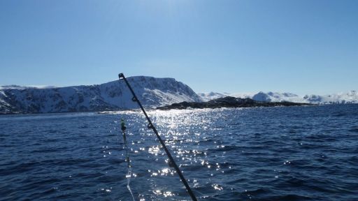 IMG-20170501-WA0009