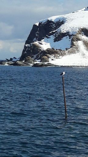 IMG-20170501-WA0017