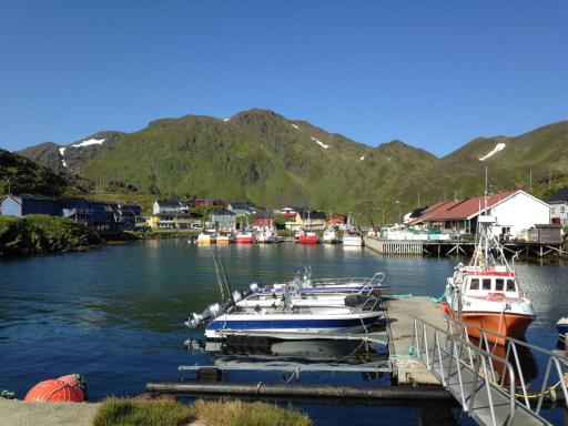 IMG-20190716-WA0013