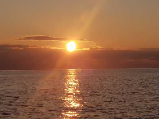 IMG-20190729-WA0005