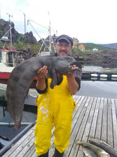 IMG-20210717-WA0002