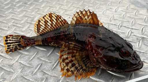 IMG-20230818-WA0011