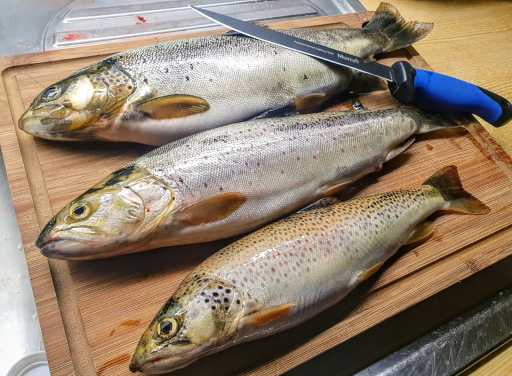 IMG-20230818-WA0038