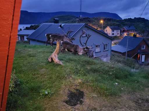 IMG-20230827-WA0004