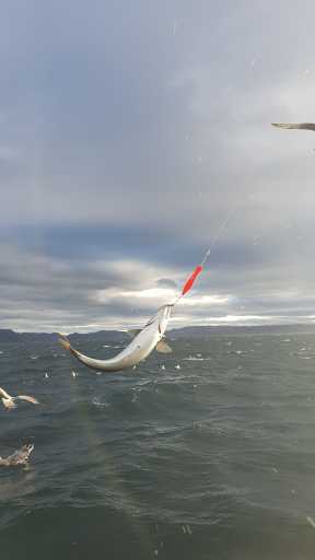 IMG-20230910-WA0009
