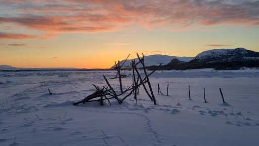 IMG-20240122-WA0004