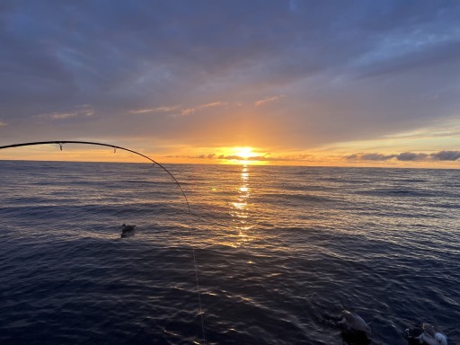 IMG-20240618-WA0006