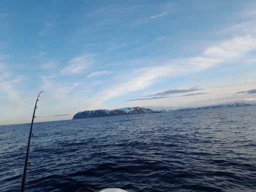 IMG-20250515-WA0004
