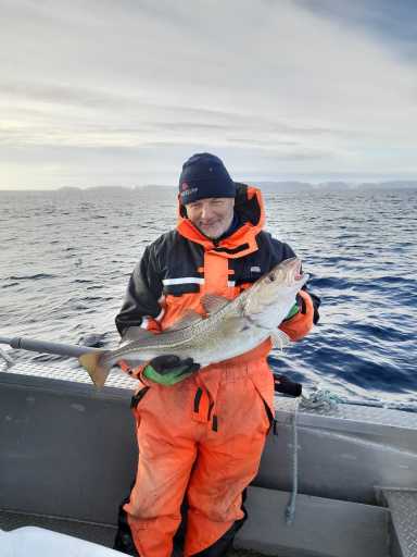 IMG-20250515-WA0009