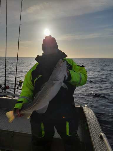 IMG-20250515-WA0010