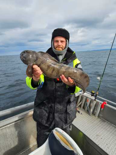 IMG-20250719-WA0010