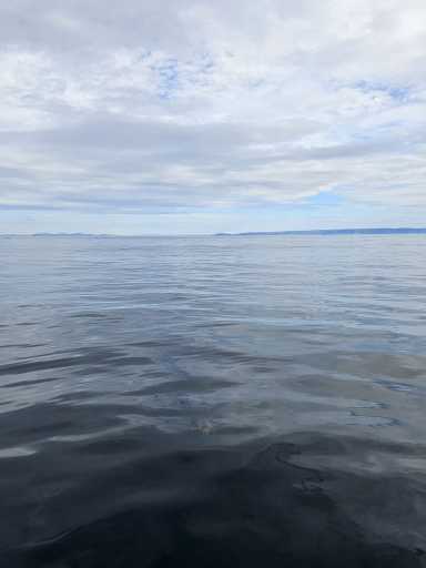 IMG-20250719-WA0011
