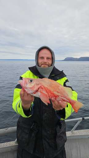 IMG-20250719-WA0012