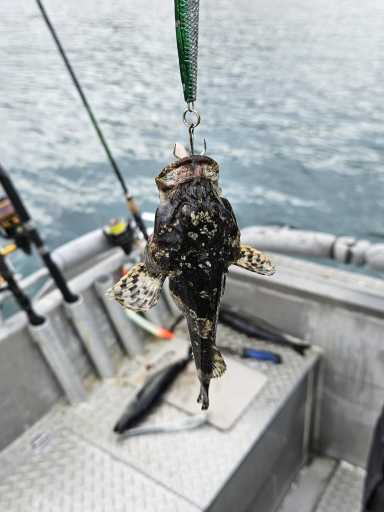 IMG-20250719-WA0015