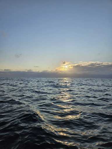 IMG-20250719-WA0040