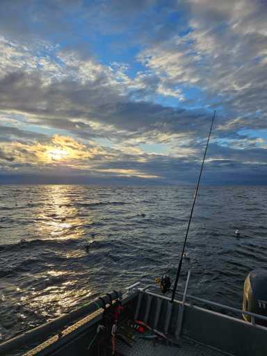IMG-20250719-WA0048