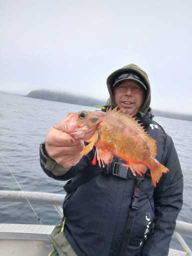 IMG-20250727-WA0066