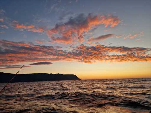 IMG-20250810-WA0025