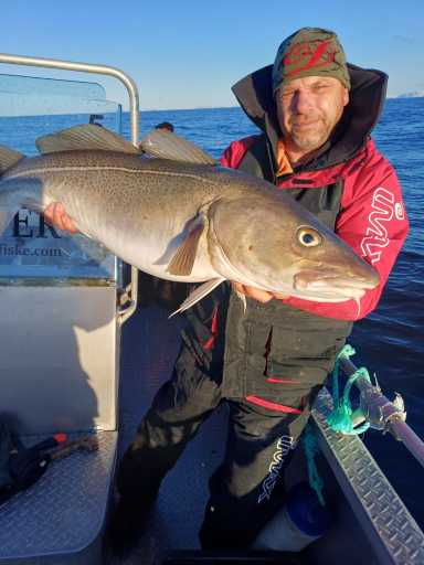 WhatsApp-Image-2026-04-08-at-16.36.13-4