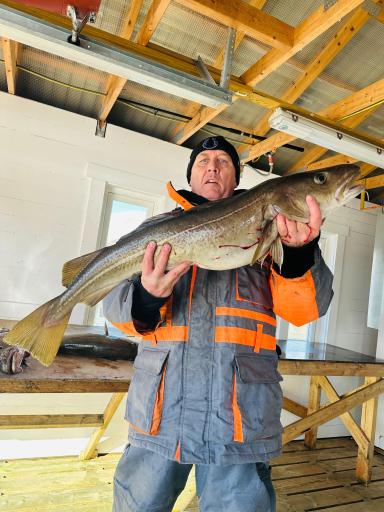 WhatsApp-Image-2026-04-08-at-16.36.13