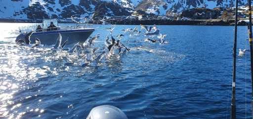 WhatsApp-Image-2026-04-21-at-20.38.39