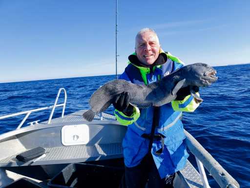 WhatsApp-Image-2026-04-21-at-20.38.41