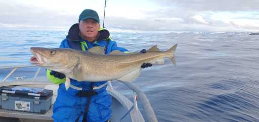 WhatsApp-Image-2026-04-21-at-20.38.45-1