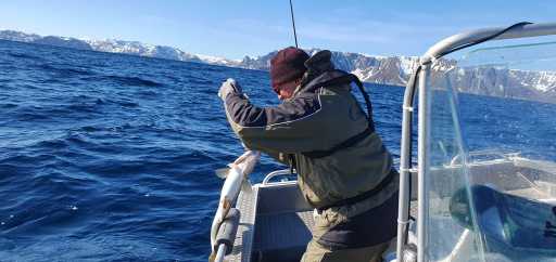 WhatsApp-Image-2026-04-21-at-20.38.45